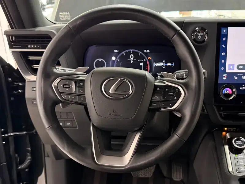 Lexus GX 2024 550h Overtrail Peak Edition — миниатюра 12