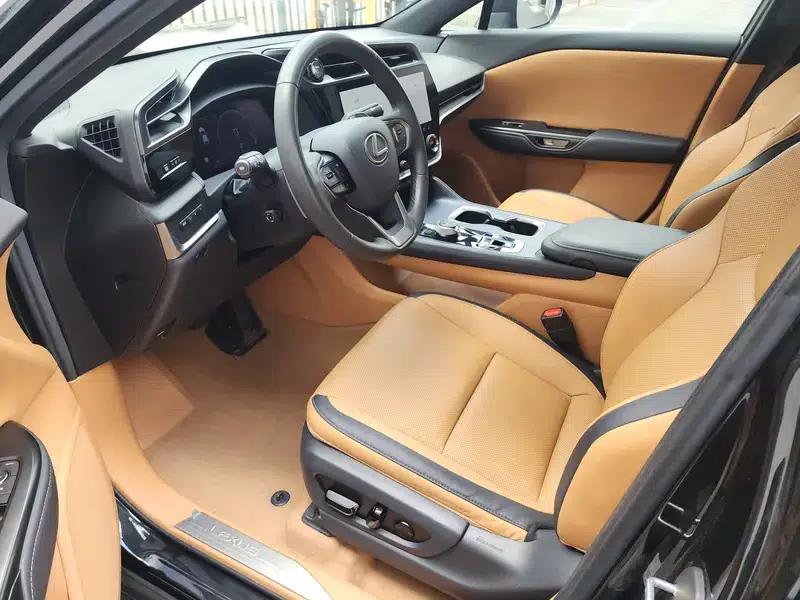 Lexus RZ 2023 450e DIRECT4 Luxury Edition — миниатюра 18