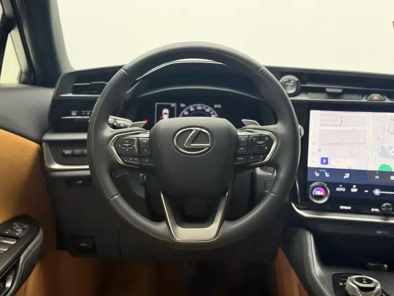 Lexus RZ 2023 450e DIRECT4 Luxury Edition — миниатюра 16