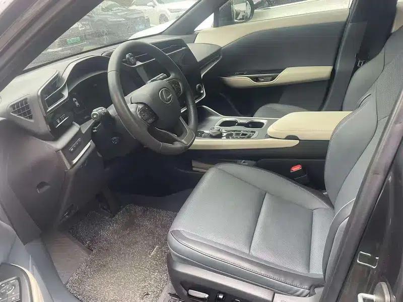 Lexus RZ 2023 450e DIRECT4 Luxury Edition — миниатюра 8
