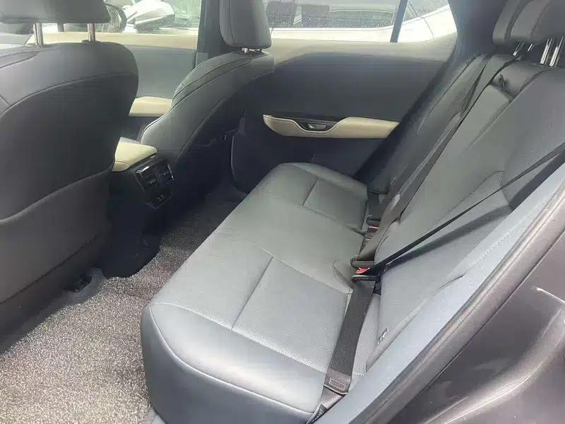 Lexus RZ 2023 450e DIRECT4 Luxury Edition — миниатюра 9