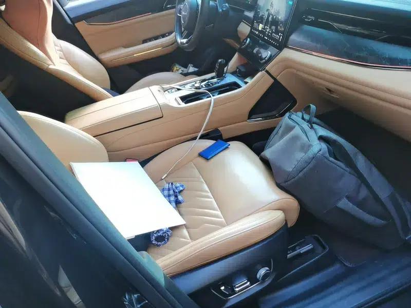 Lynk & Co 09 EM-P 2021 2.0TD Performance Edition Six-Seat Halo — миниатюра 8