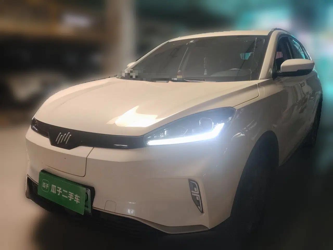 WM Motor EX5 2018 EX5 400 Lite Exploration Edition — миниатюра 1