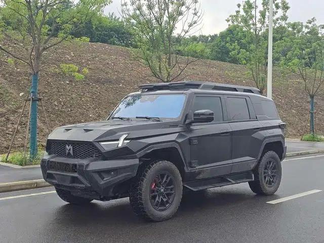 Mengshi 917 2023 Range Extended Edition