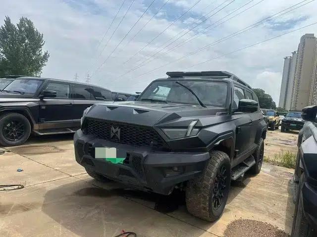 Mengshi 917 2023 Range Extended Edition