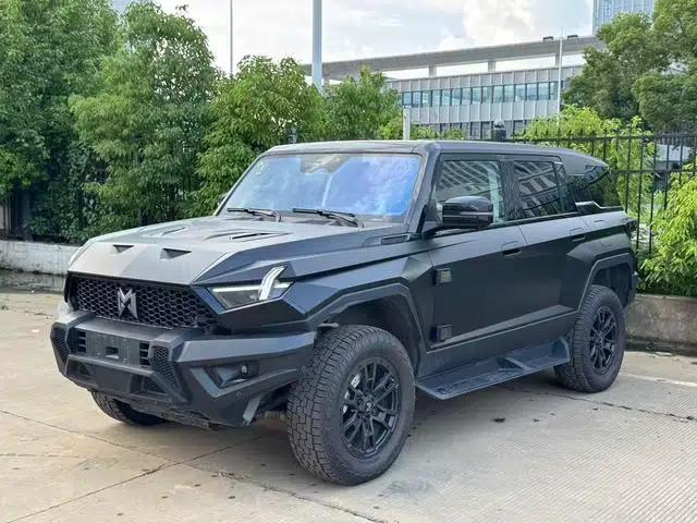 Mengshi 917 2023 Range Extended Edition