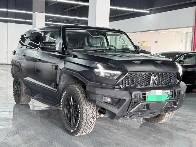 Mengshi 917 2023 Range Extended Edition — миниатюра 3