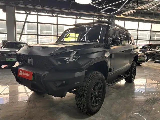 Warrior 917 2023 Pure Electric Version