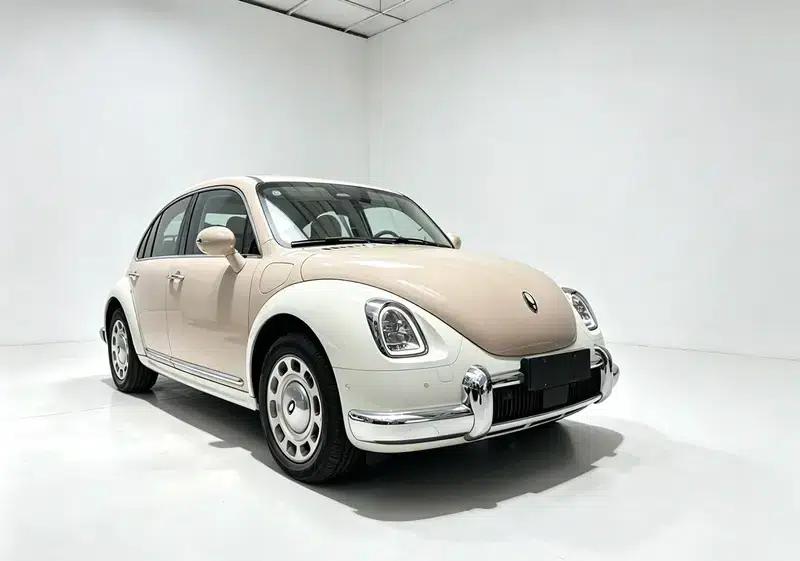 Euler Ballet Cat 2023 Model 401km Premium Edition — миниатюра 3