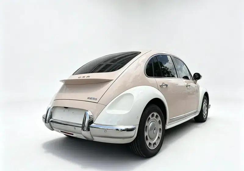 Euler Ballet Cat 2023 Model 401km Premium Edition — миниатюра 5