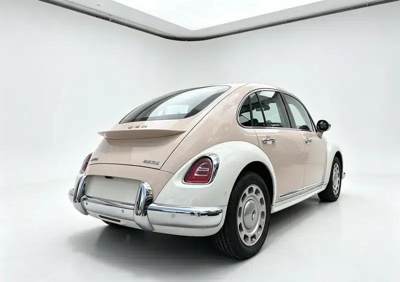 Euler Ballet Cat 2023 Model 401km Premium Edition — миниатюра 6