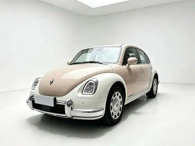 Euler Ballet Cat 2023 Model 401km Premium Edition