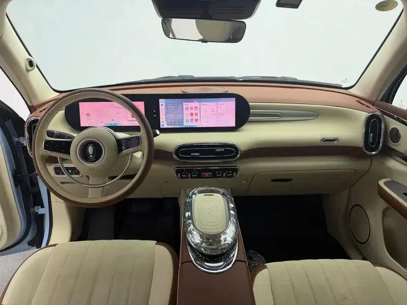 Euler Ballet Cat 2022 Model 401km Alice Edition — миниатюра 14