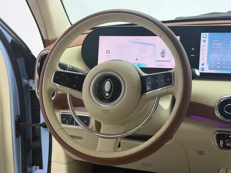 Euler Ballet Cat 2022 Model 401km Alice Edition — миниатюра 16