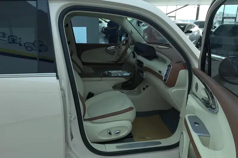 Euler Ballet Cat 2023 Model 401km Premium Edition — миниатюра 15
