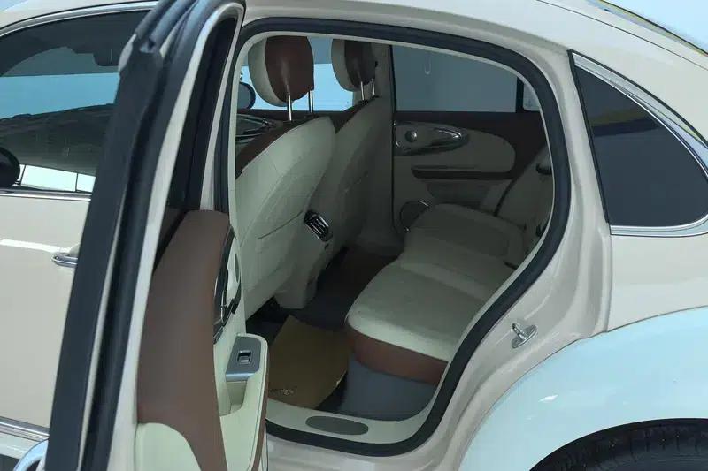 Euler Ballet Cat 2023 Model 401km Premium Edition — миниатюра 16