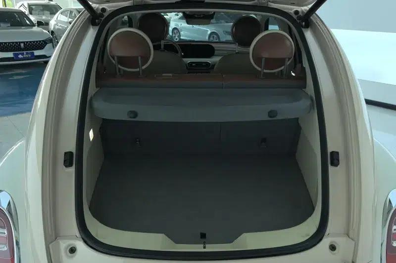 Euler Ballet Cat 2023 Model 401km Premium Edition — миниатюра 17
