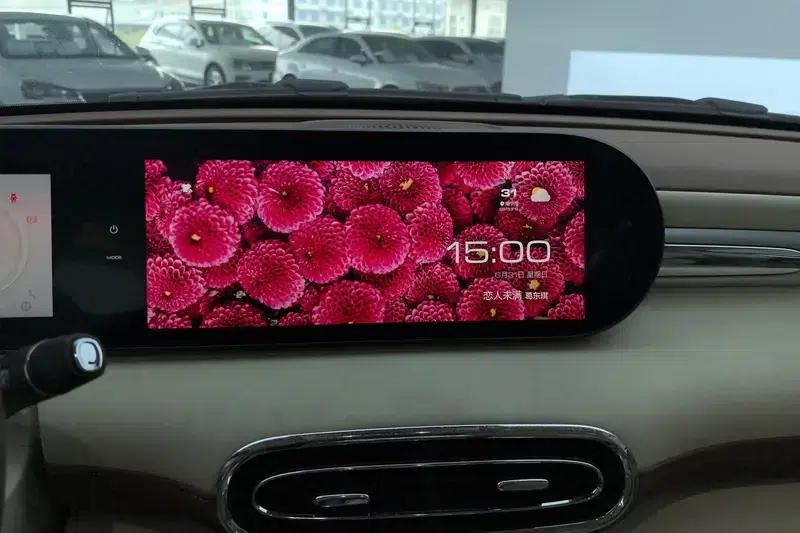 Euler Ballet Cat 2023 Model 401km Premium Edition — миниатюра 9