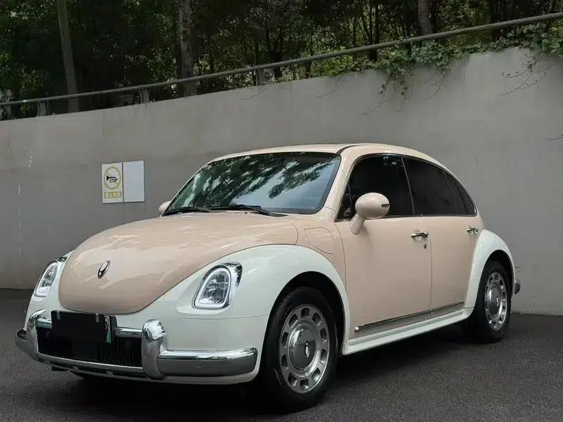 Euler Ballet Cat 2023 Model 401km Luxury Edition — миниатюра 1
