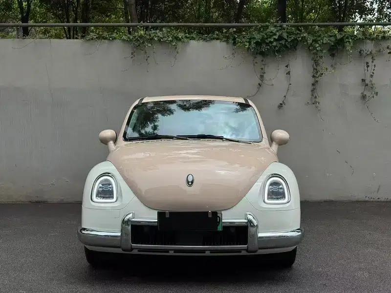 Euler Ballet Cat 2023 Model 401km Luxury Edition — миниатюра 2