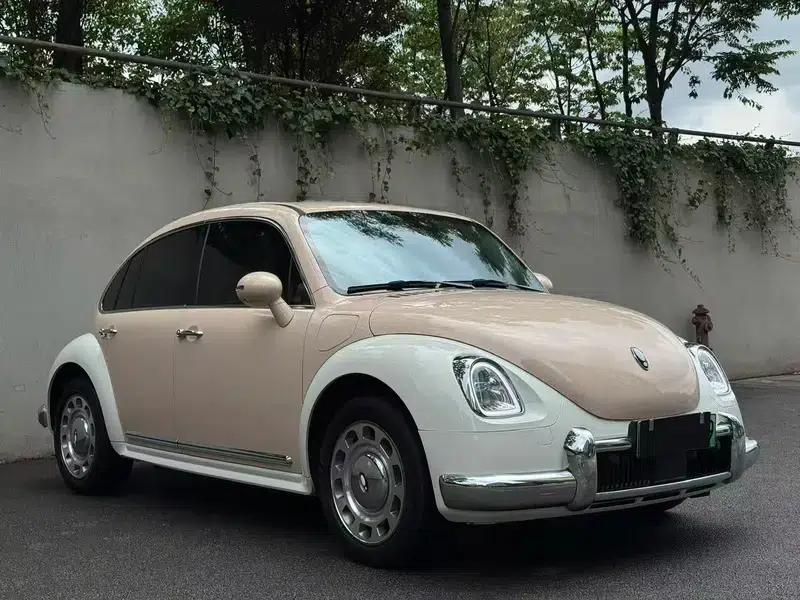 Euler Ballet Cat 2023 Model 401km Luxury Edition — миниатюра 3
