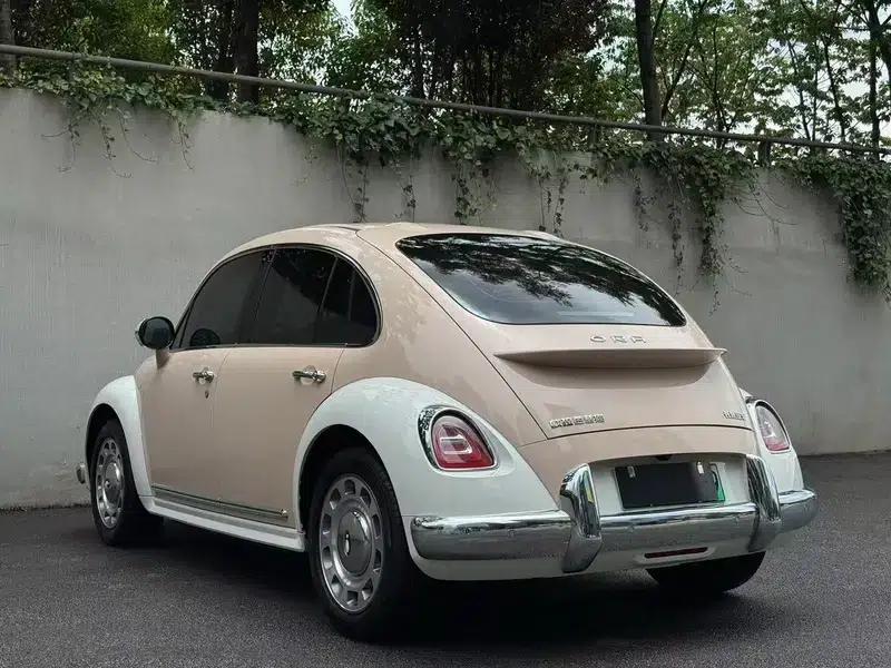 Euler Ballet Cat 2023 Model 401km Luxury Edition — миниатюра 4