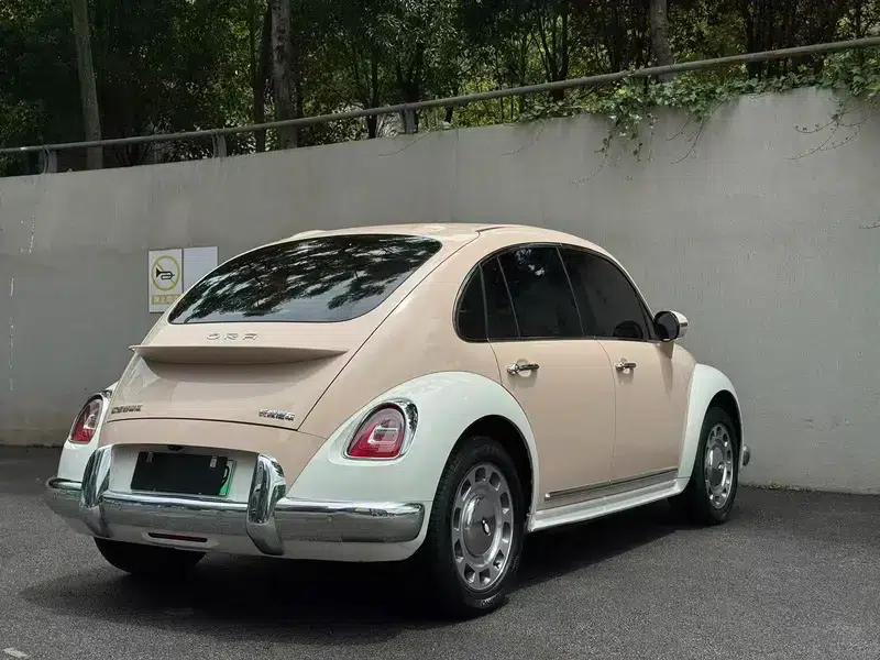 Euler Ballet Cat 2023 Model 401km Luxury Edition — миниатюра 6