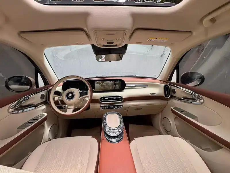 Euler Ballet Cat 2023 Model 401km Luxury Edition — миниатюра 7
