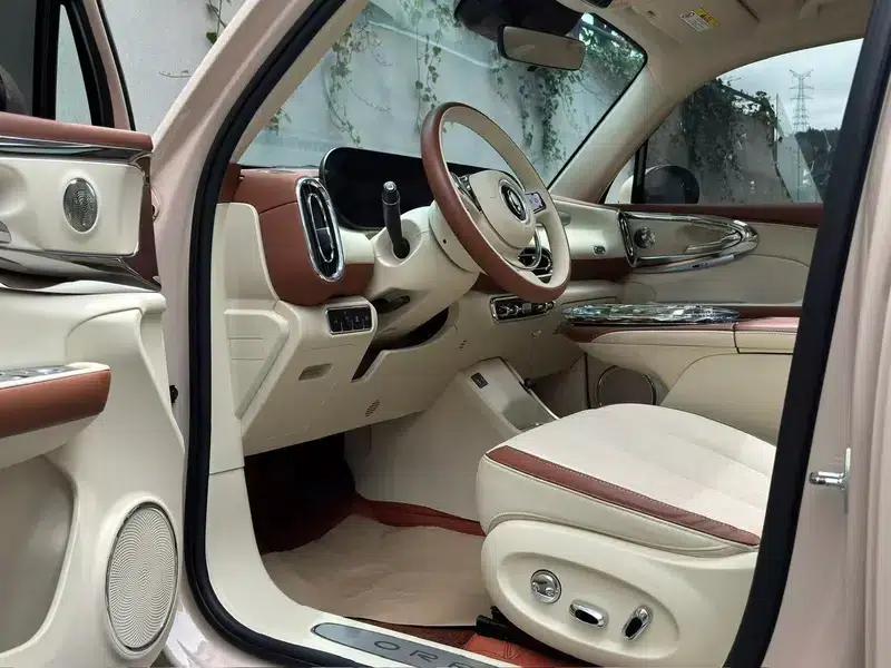 Euler Ballet Cat 2023 Model 401km Luxury Edition — миниатюра 8