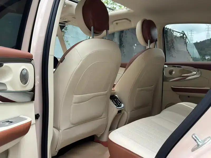 Euler Ballet Cat 2023 Model 401km Luxury Edition — миниатюра 9