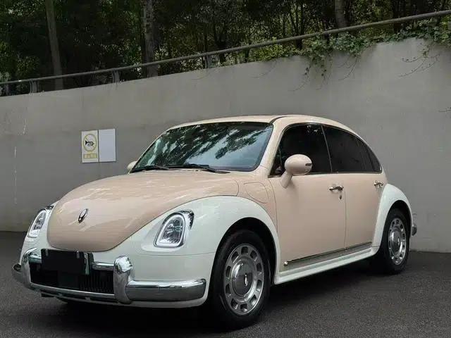 Euler Ballet Cat 2023 Model 401km Luxury Edition