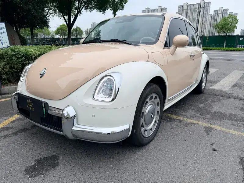 Euler Ballet Cat 2023 Model 401km Premium Edition — миниатюра 1