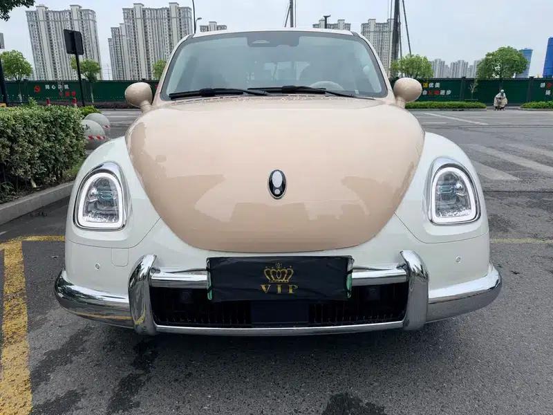 Euler Ballet Cat 2023 Model 401km Premium Edition — миниатюра 2