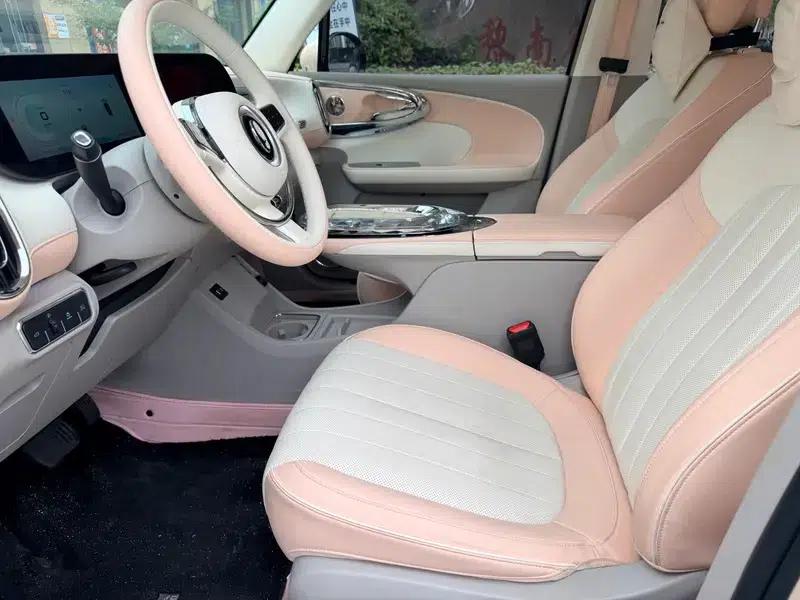 Euler Ballet Cat 2023 Model 401km Premium Edition — миниатюра 11