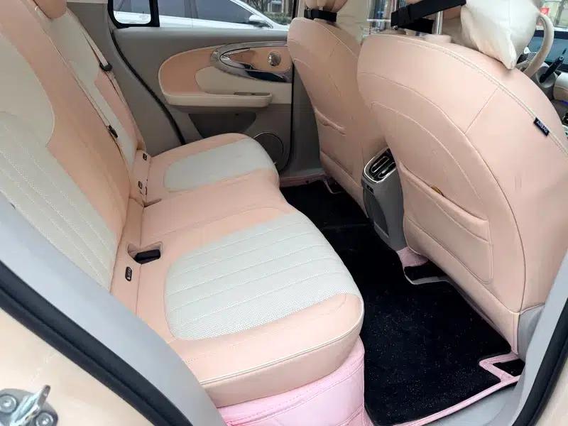 Euler Ballet Cat 2023 Model 401km Premium Edition — миниатюра 12