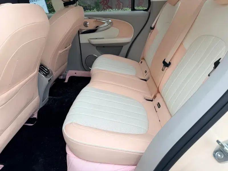 Euler Ballet Cat 2023 Model 401km Premium Edition — миниатюра 13