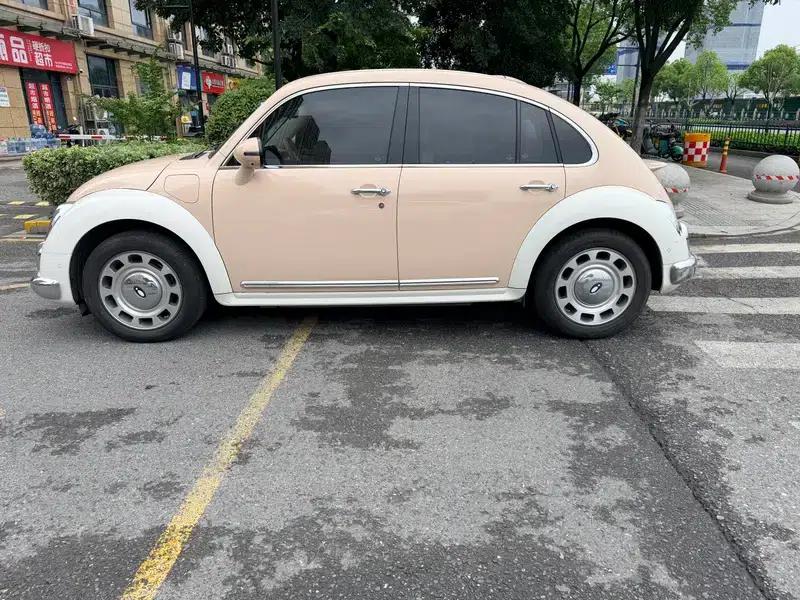 Euler Ballet Cat 2023 Model 401km Premium Edition — миниатюра 3