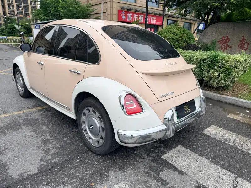 Euler Ballet Cat 2023 Model 401km Premium Edition — миниатюра 4