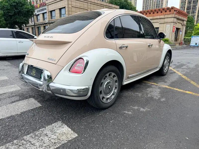 Euler Ballet Cat 2023 Model 401km Premium Edition — миниатюра 6