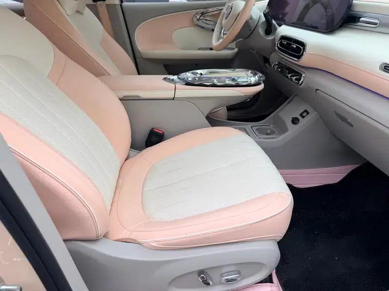 Euler Ballet Cat 2023 Model 401km Premium Edition — миниатюра 7