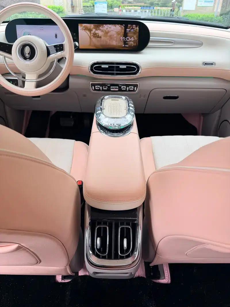 Euler Ballet Cat 2023 Model 401km Premium Edition — миниатюра 8