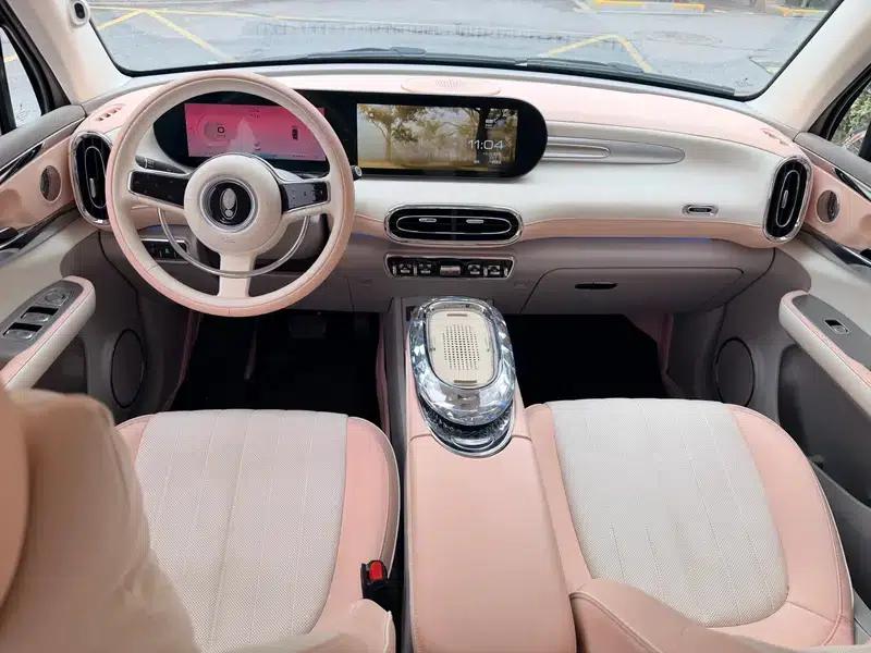 Euler Ballet Cat 2023 Model 401km Premium Edition — миниатюра 9