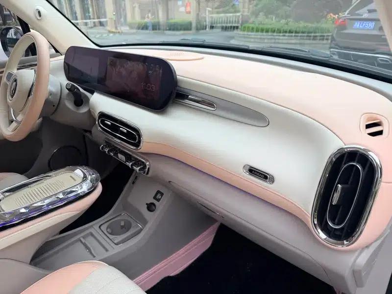 Euler Ballet Cat 2023 Model 401km Premium Edition — миниатюра 10