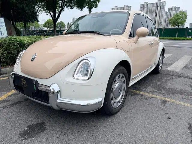 Euler Ballet Cat 2023 Model 401km Premium Edition