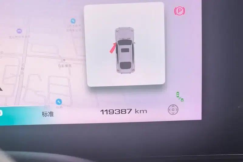 Euler Ballet Cat 2022 500km Sleeping Beauty Edition — миниатюра 7