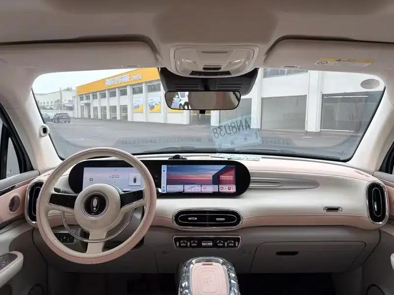 Euler Ballet Cat 2022 500km Sleeping Beauty Edition — миниатюра 8