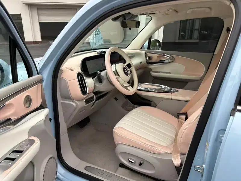 Euler Ballet Cat 2022 500km Sleeping Beauty Edition — миниатюра 9
