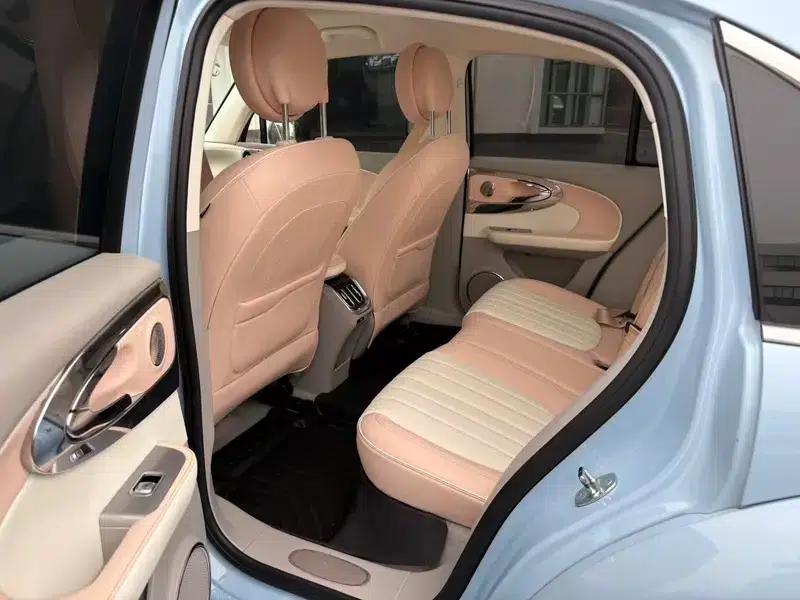 Euler Ballet Cat 2022 500km Sleeping Beauty Edition — миниатюра 10
