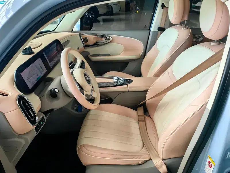 Euler Ballet Cat 2022 500km Sleeping Beauty Edition — миниатюра 7