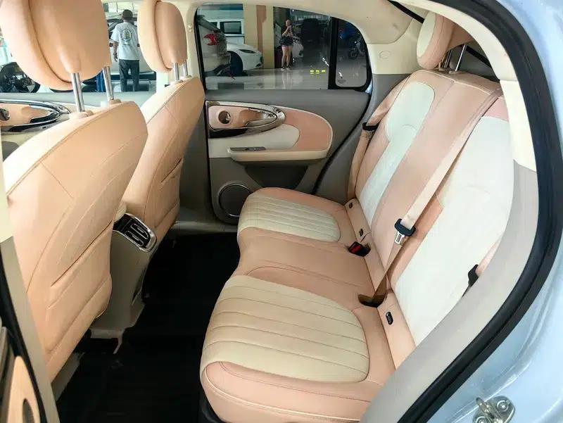 Euler Ballet Cat 2022 500km Sleeping Beauty Edition — миниатюра 8